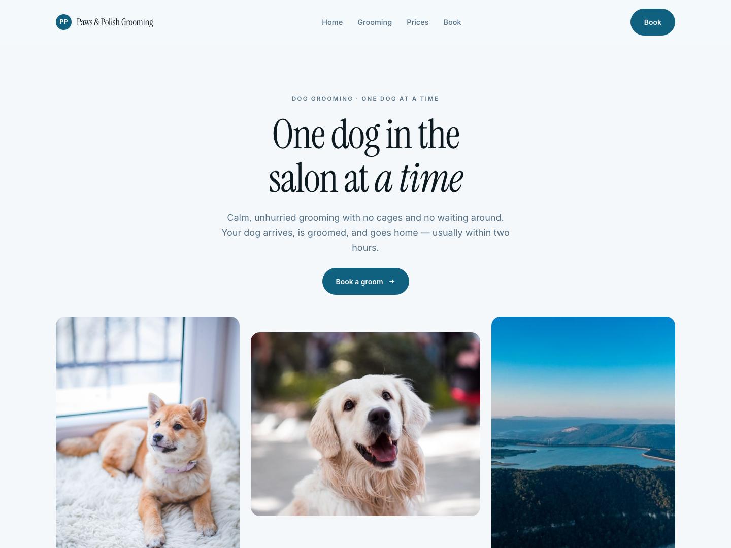 Paws & Polish Grooming