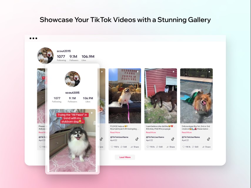 TikTok Feed Pro