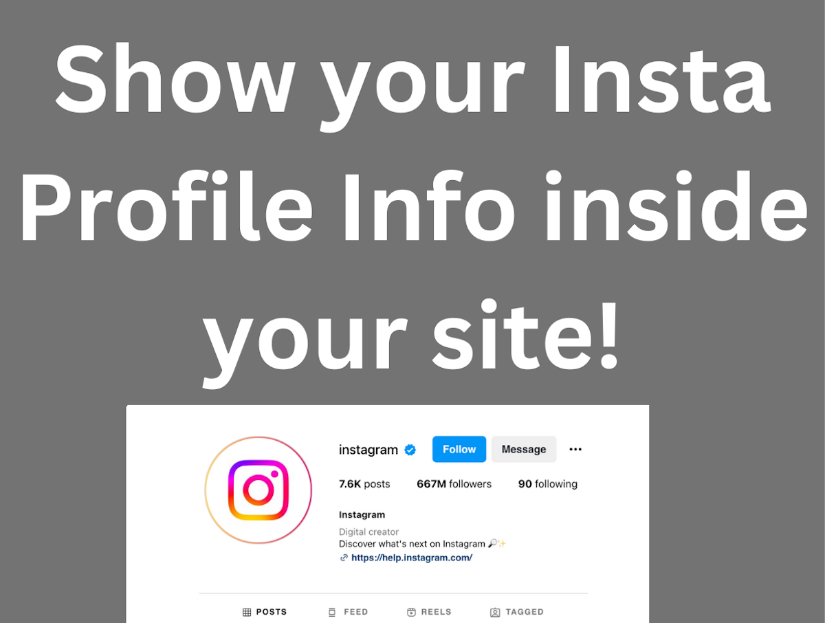 Instagram Profile Mini