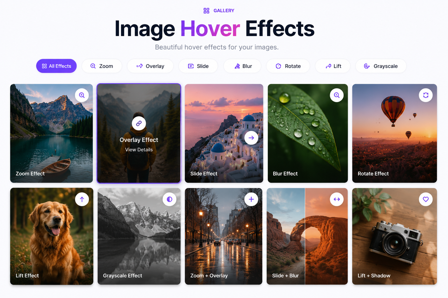 Image Hover Effects